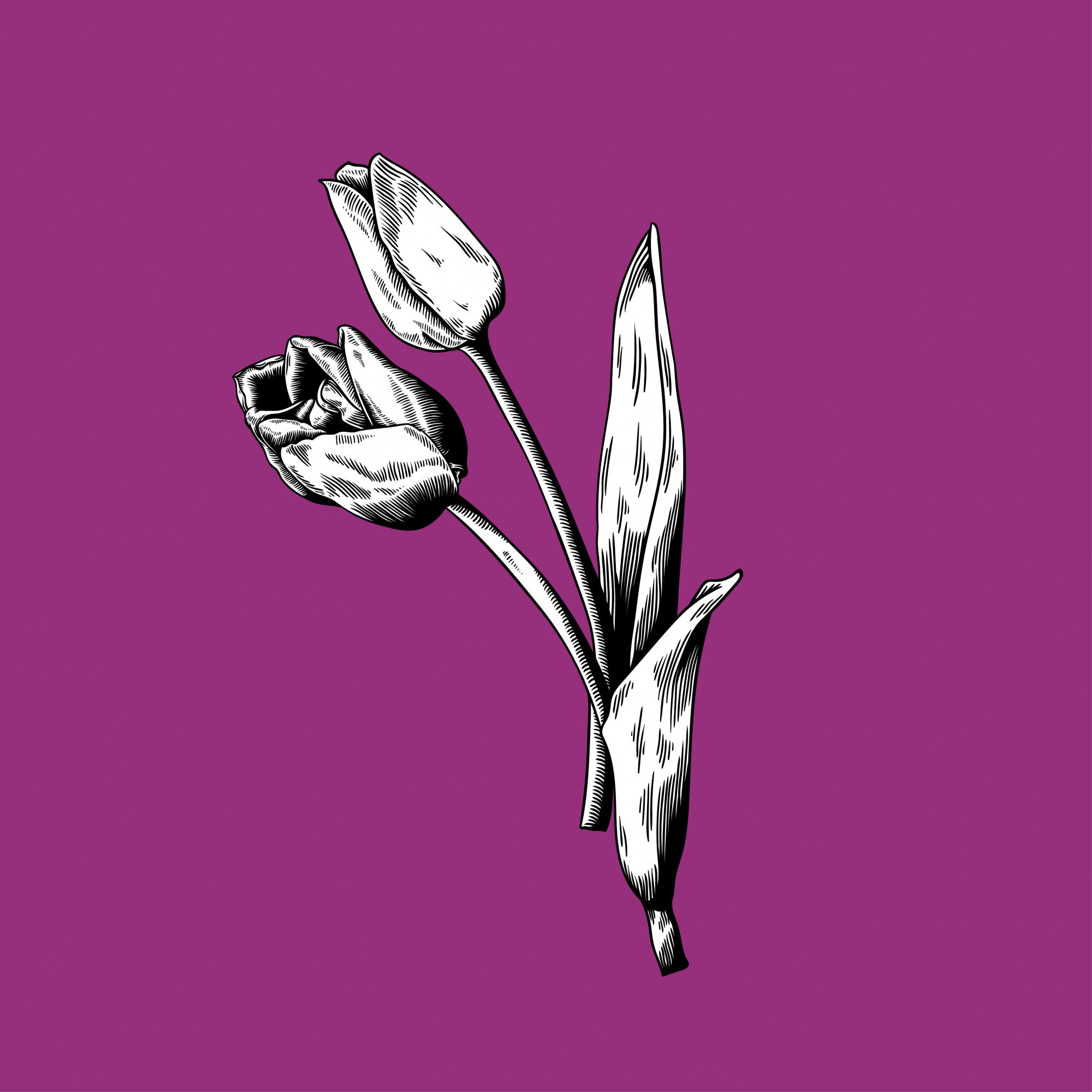 Lightbox image