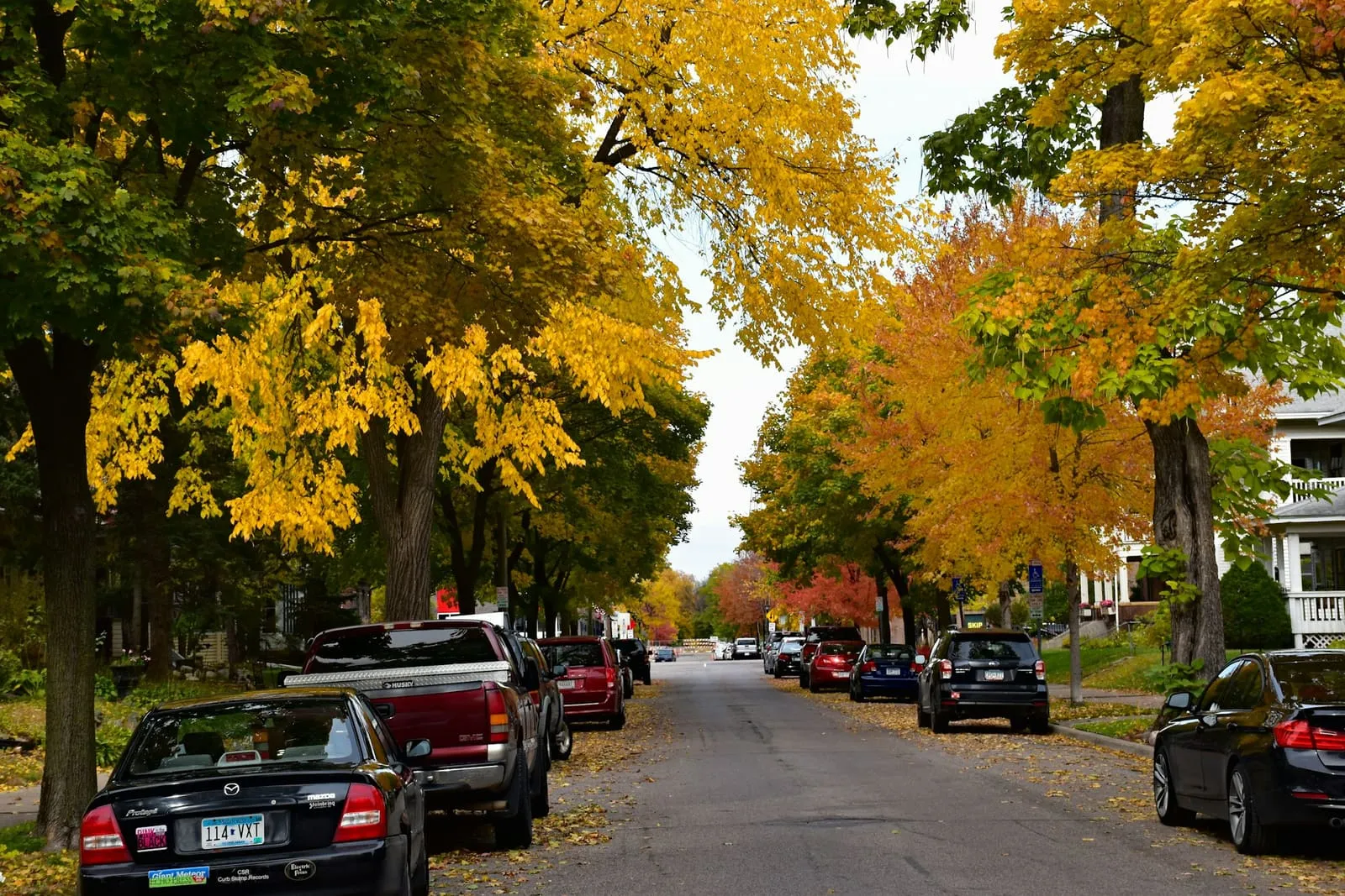 A residential street under yellow autumn trees