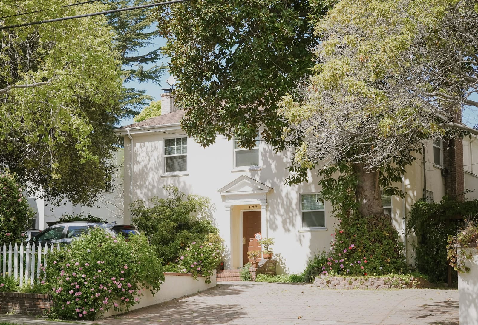 A white stucco house with a pedimented door behind roses