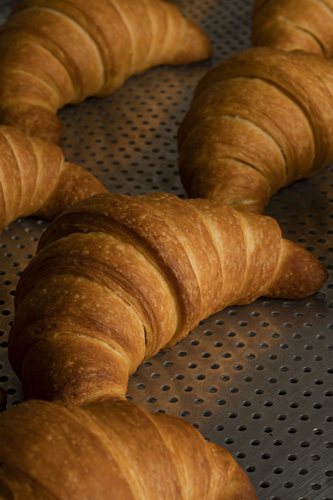 A tray of golden croissants