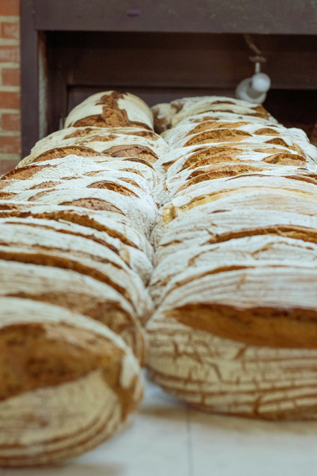 Rows of loaves just out of the oven