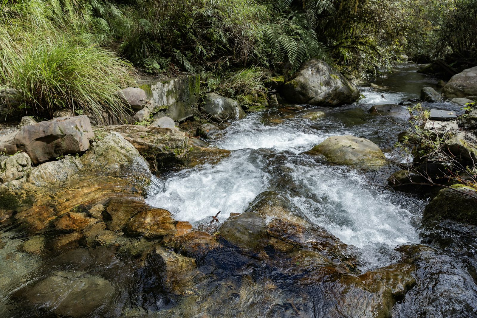 A clear creek running over mossy rocks