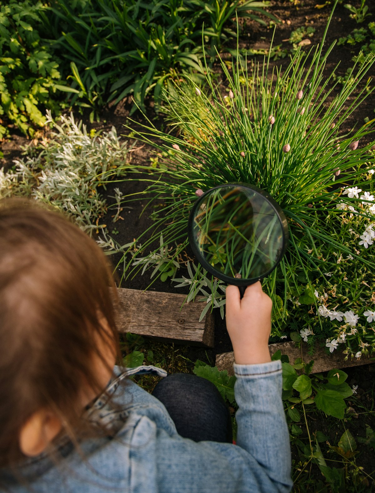 A student looking at plants through a magnifying glass