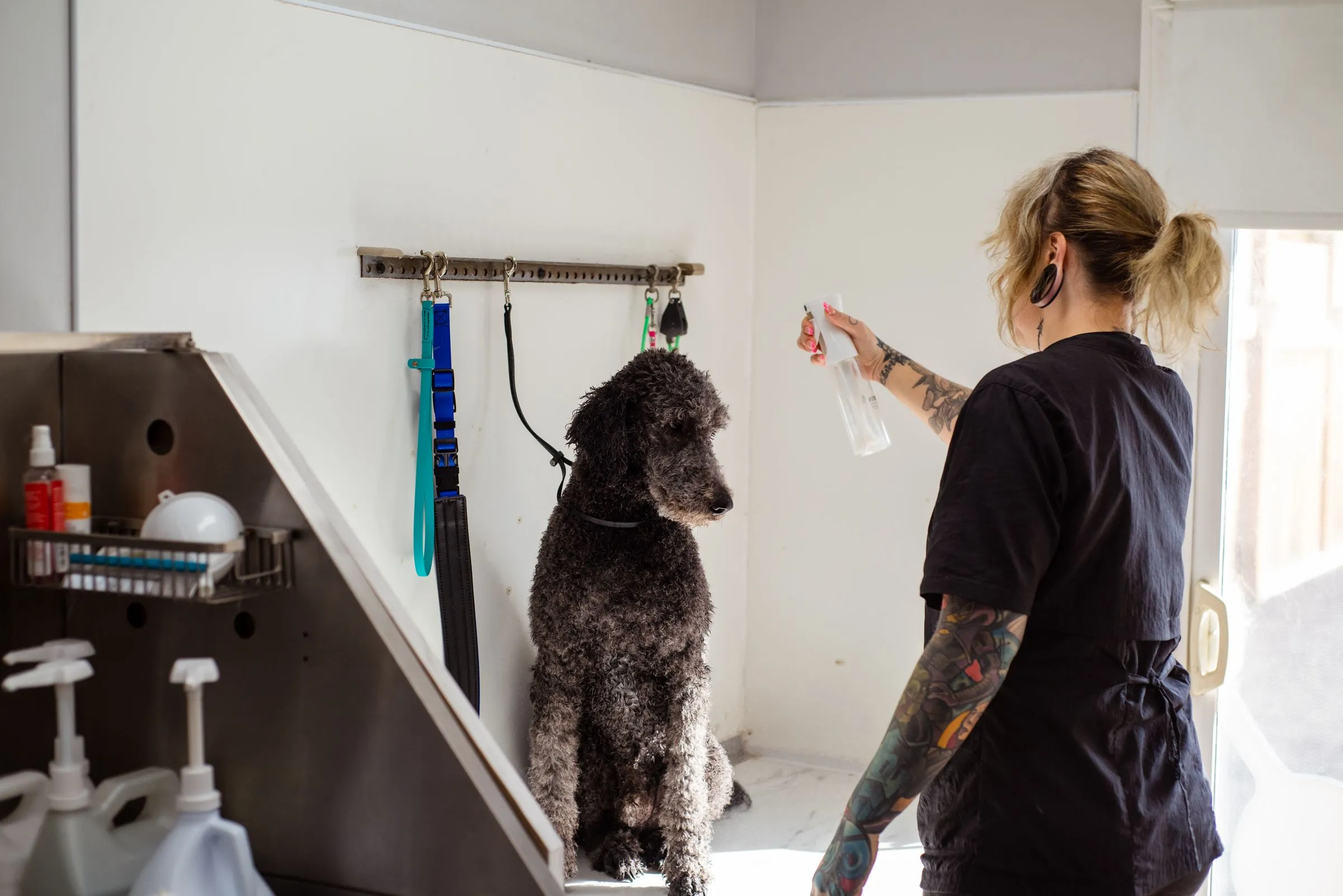 Dee at the walk-in tub with a grey poodle waiting on the lead rail
